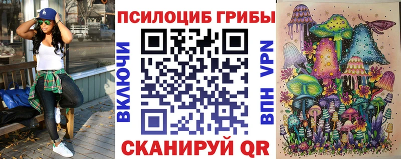 Галлюциногенные грибы Magic Shrooms  купить наркоту  ссылка на мегу ССЫЛКА  Верхотурье 